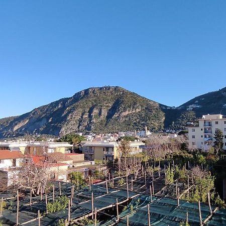 B&B Tina Пиано ди Соренто Екстериор снимка